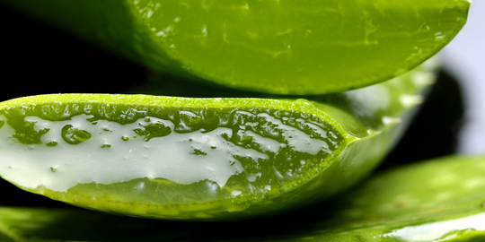 Natural plant based aloe vera lube