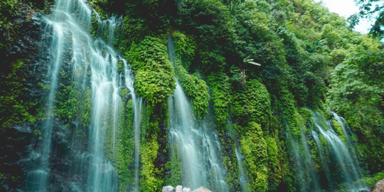 Organic waterfall in a forest 