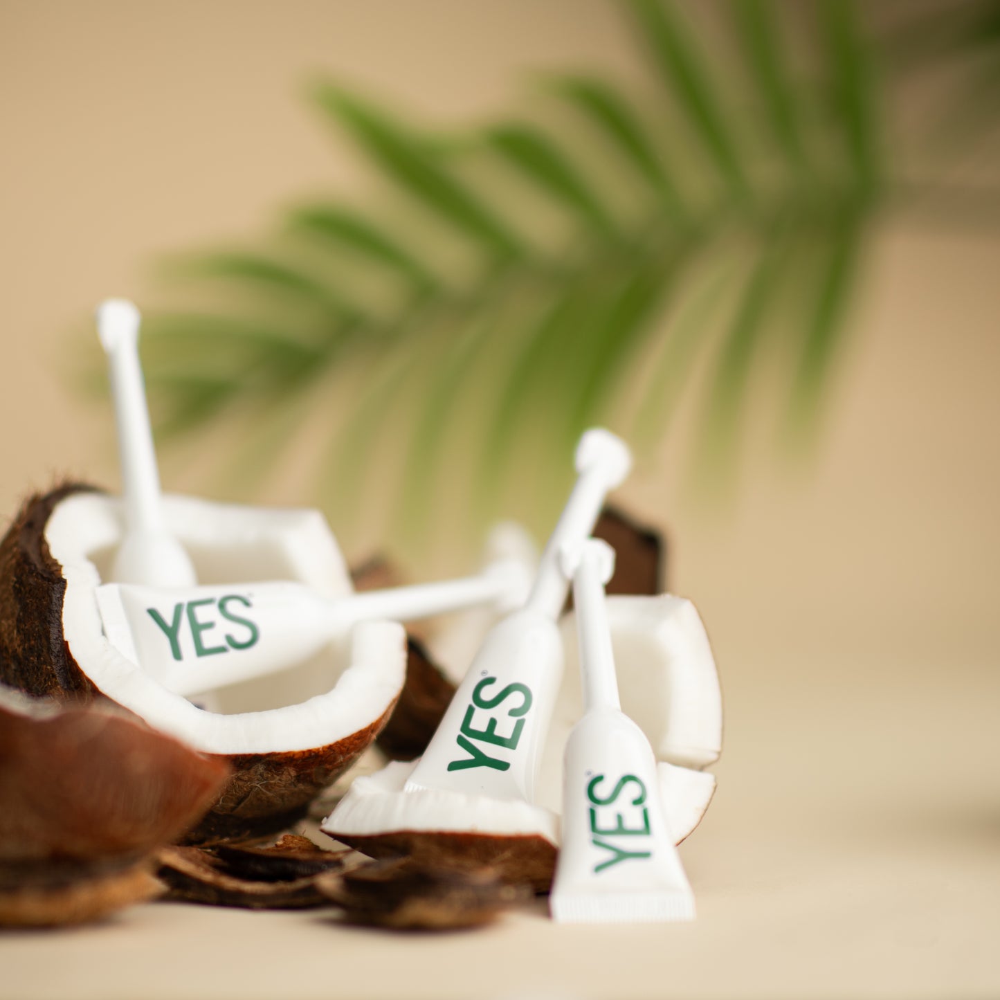 YES COCO plant oil based lubricant applicators laid inside a coconut